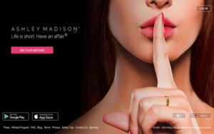 Ashley Madison Logo